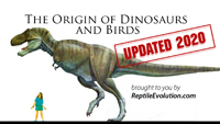 dinosaur origins video